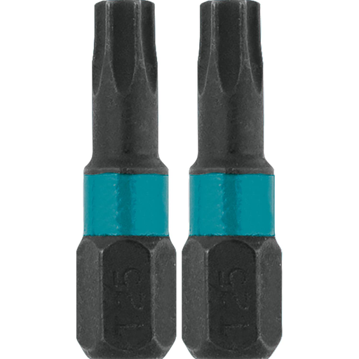 ImpactX™ T25 Torx® 1″ Insert Bit, 2/pk