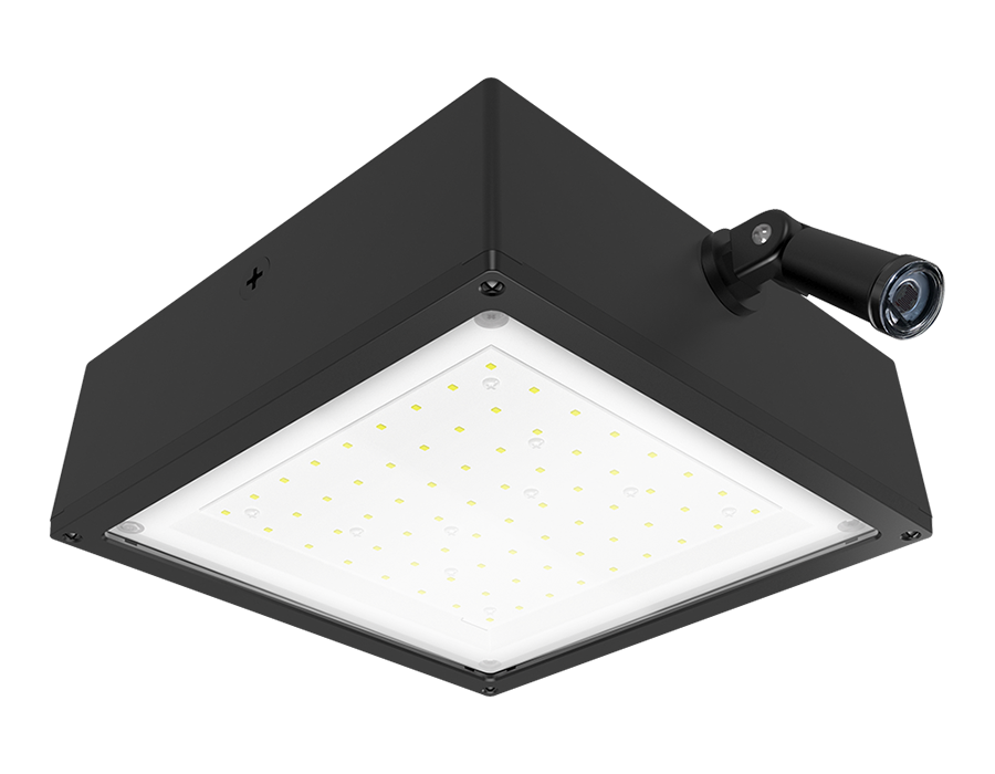 Product image for RAB VANLED40F/PCS VNDLPRF CANOPY 40