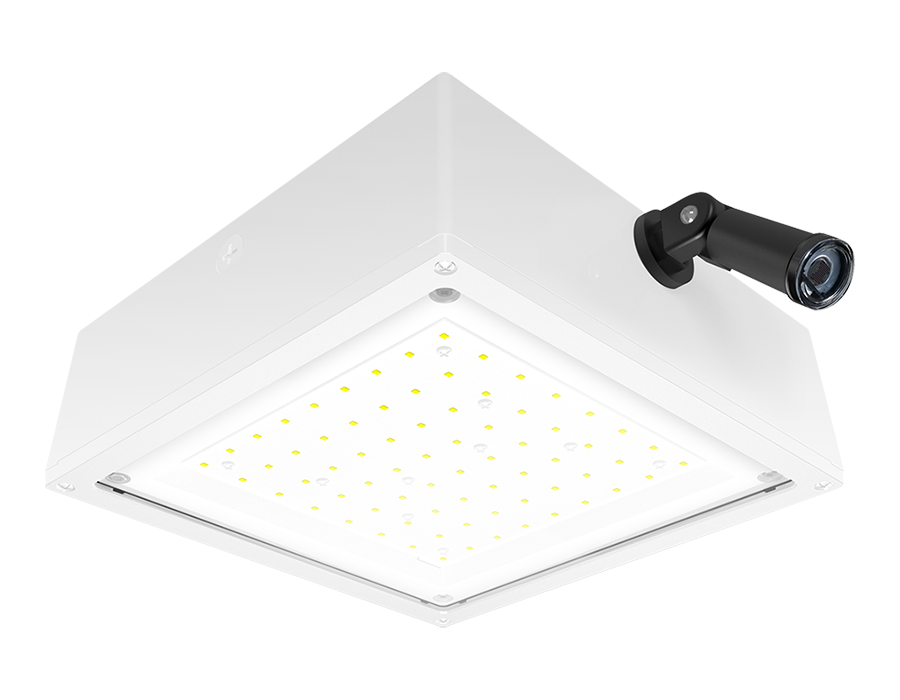 Product image for RAB VANLED40FW/PCS VNDLPRF CANOPY 4