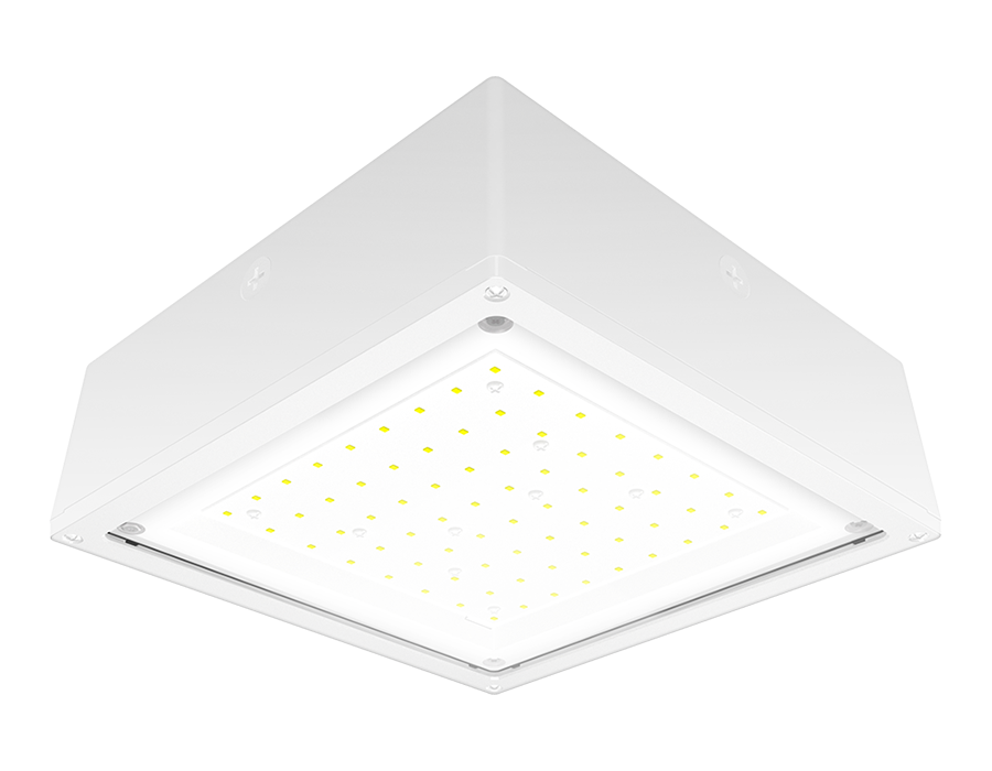 Product image for RAB VANLED10YFW VNDLPRF CANOPY 10W