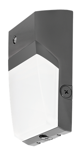 Product image for RAB WPTLED40/D10/PC2 TAL 40W COOL 0