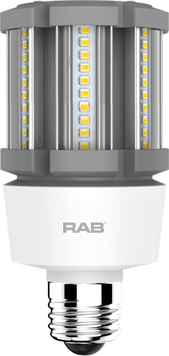 Product image for RAB HID-12-E26-830-BYP-PT HID PST T