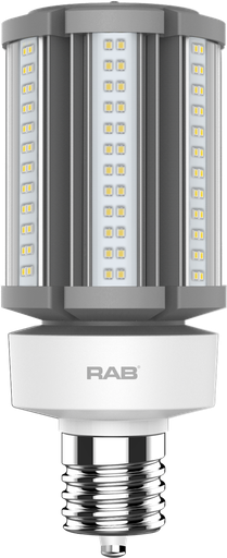 Product image for RAB HID-36-EX39-830-BYP-PT HID PST