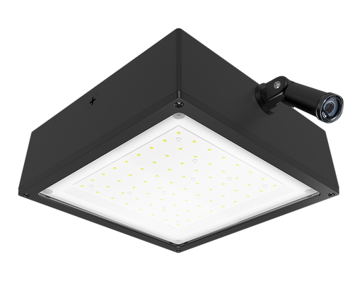 Product image for RAB VANLED40F/PCS VNDLPRF CANOPY 40