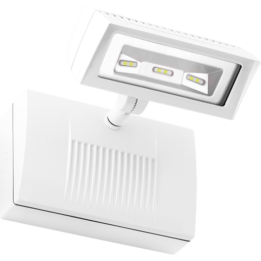 Product image for RAB FFLED18W/EC LBACKUP FFLED 18W C