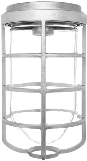 Product image for RAB VC200DG VAPORPROOF 200 CEILING