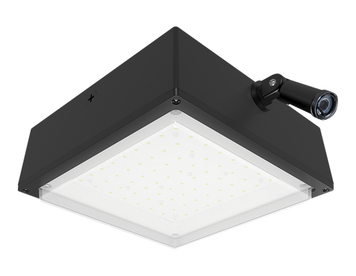 Product image for RAB VANLED10NFR/PCS VANLED FR 10W 4