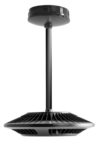 Product image for RAB PLED52NBB/BL PEND 52W 4K BL BK