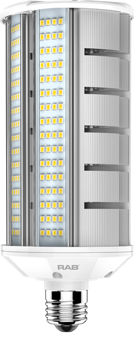 Product image for RAB HID-40-H-E26-850-BYP-WP HID WP