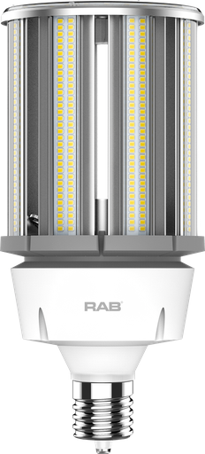Product image for RAB HID-120-EX39-850-BYP-PT PT 120W
