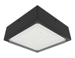 RAB VANLED20 20 W 12 x 12 x 4-3/4 Inch Cool Bronze LED Vandalproof Light