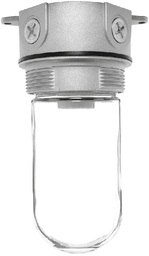 RAB VX100 150 W Natural Die-Cast Aluminum Incandescent Vaportight Ceiling Fixture with Globe