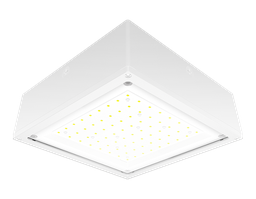 RAB VANLED40FW VNDLPRF CANOPY 40W C