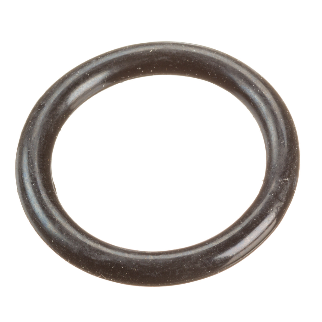 Product image for RDG 15388 O-RING