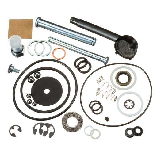 Product image for RDG 97772 KIT, REPAIR PUMP 918