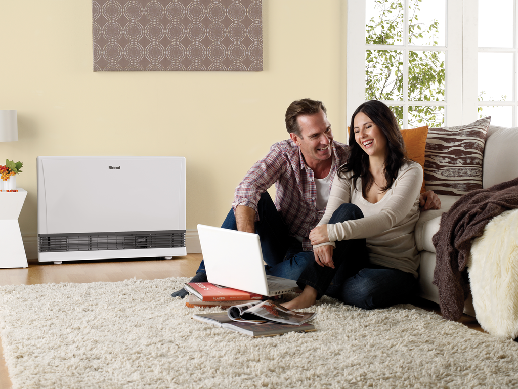 Direct Vent Wall Heater DT Series