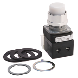 30MM MOMENTARY PUSH BUTTON 800T PB, 800T-QBH2WD1