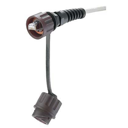 Panduit MPI588T Cat 5e, 24 AWG, Modular Plug Product image for Panduit MPI588T Cat 5e, 24 AWG, Modular Plug