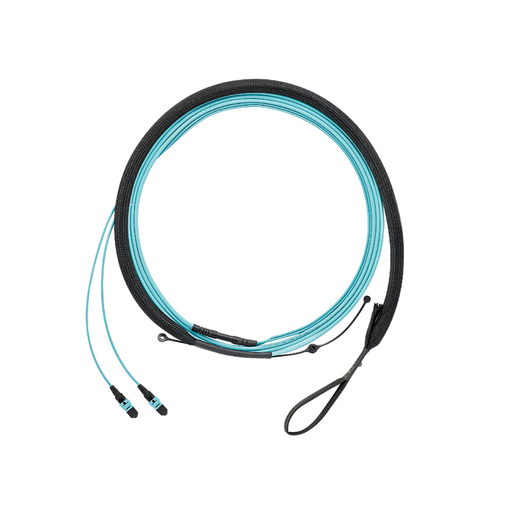 Product image for Panduit FZTRP7NQSONF026 OM4,12-Fiber, RndHarness, PLEM, 26ft