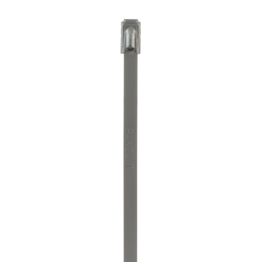 Mayer-DDS-Pan-Steel® MLT2S-CP Cable Tie, SS 304, Standard, 2" Dia., PK100-1