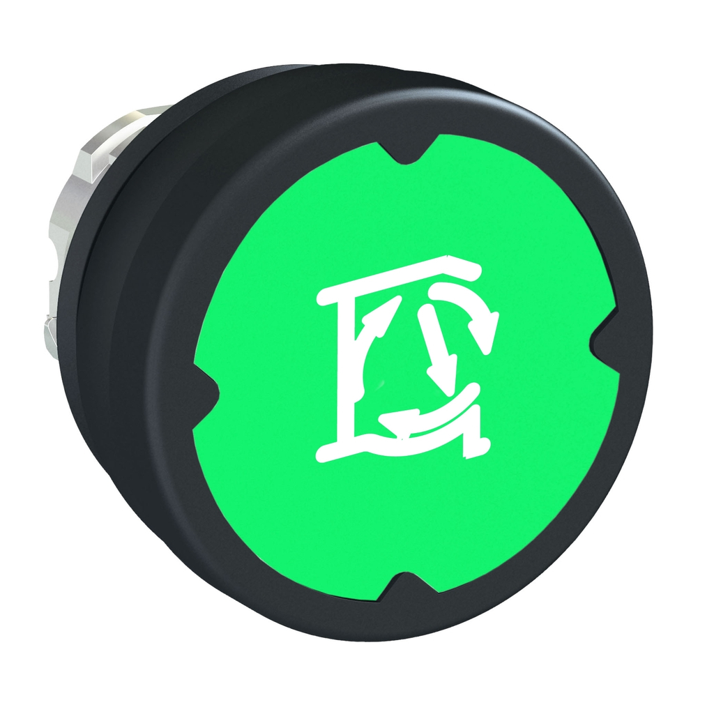 Mayer-DDS-Head for push button, Harmony XB4, pushbutton harsh environment, green, with marking-1