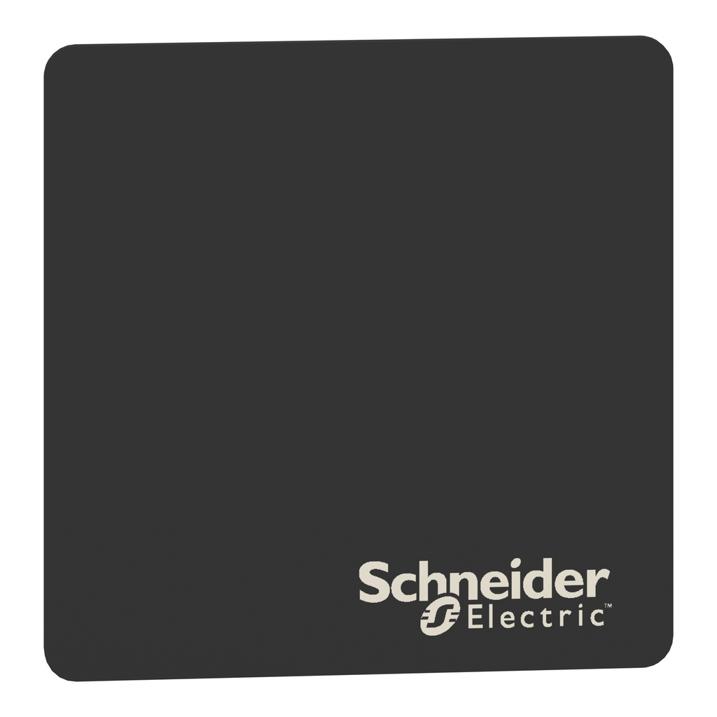 Mayer-DDS-Legend panel 100x100mm, Harmony XB5, unmarked-2