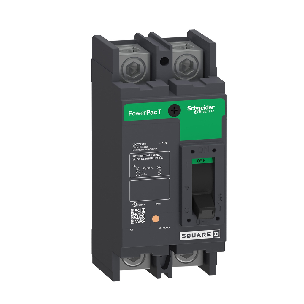 Mayer-DDS-Circuit breaker, PowerPacT Q, 175A, 2 pole, 240VAC, 10kA, lugs, thermal magnetic, 80%, top of panel-1