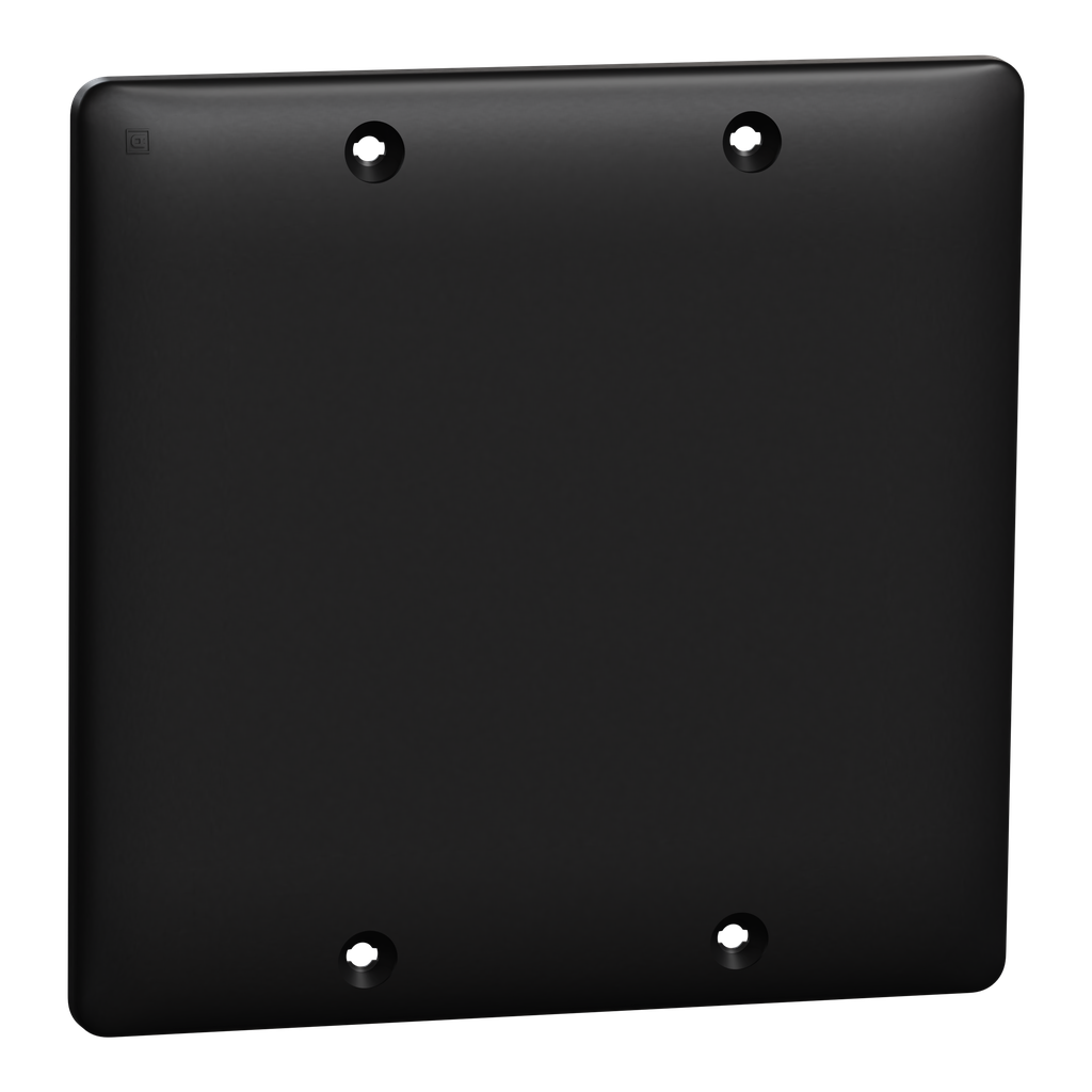 SQWS140002BK – Blank plate, X Series, 2 gang, black, matte finish