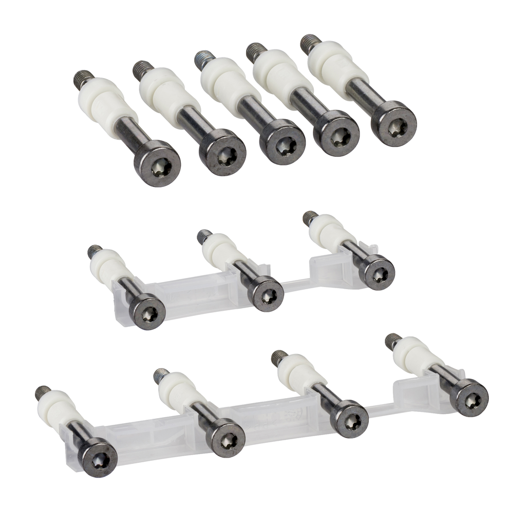 LV429513 – torque limiting screws, ComPact NSX100/160/250, power connections, set of 12 parts