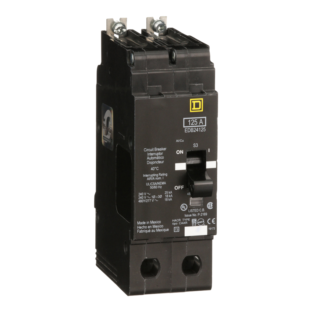 EDB24125 – Mini circuit breaker, E-Frame, 125A, 2 pole, 480Y/277VAC, 25kA max, bolt on