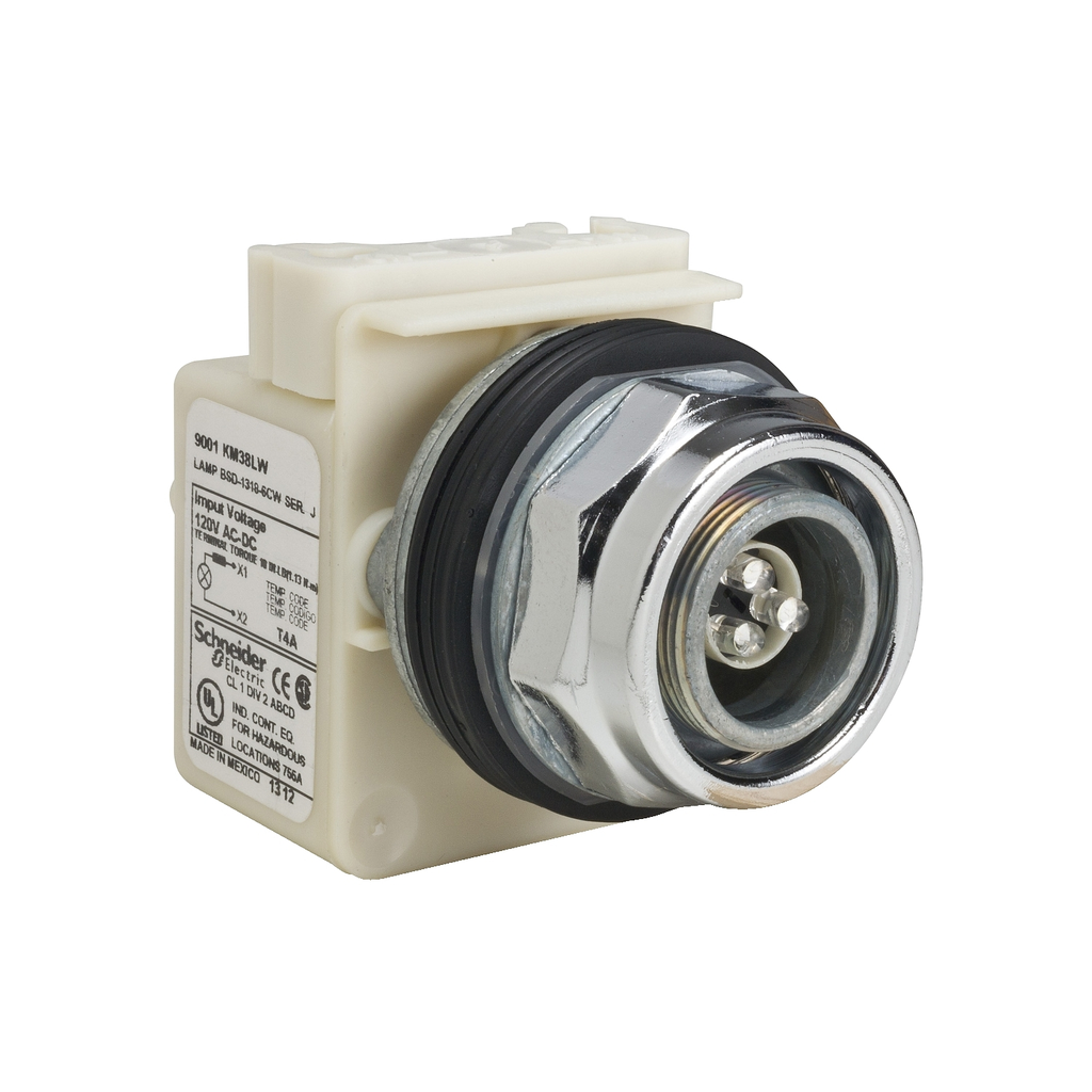 Mayer-DDS-Pilot light head, Harmony 9001K, metal, without cap, 30mm, LED white, 120V-1