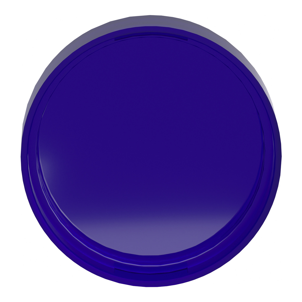 Mayer-DDS-Head for pilot light, Harmony XB4, Harmony XB5, blue, 22mm, universal LED, plain lens, unmarked-2