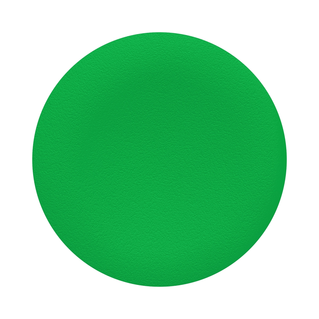Mayer-DDS-Cap for push button head, Harmony XB4, selector switch, plastic, green flush, 22mm, unmarked-1