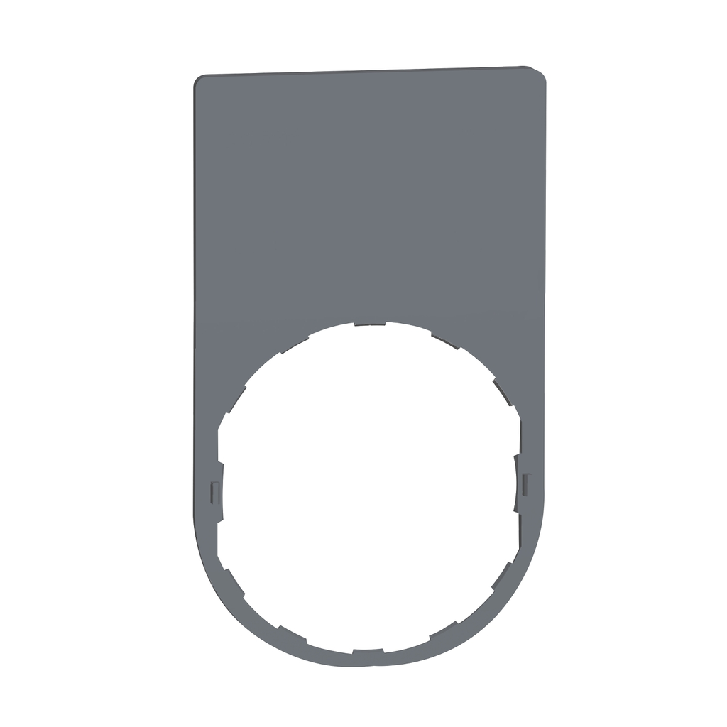 Mayer-DDS-Legend plate, Harmony XB5, 30 x 50mm, grey bezel, unmarked-1
