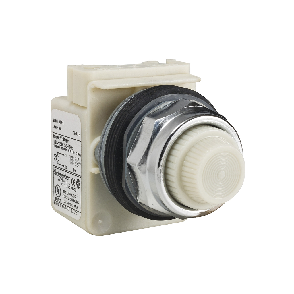 Mayer-DDS-Pilot light, Harmony 9001K, metal, polycarbonate, fresnel, white, 30mm, 110-120V-1