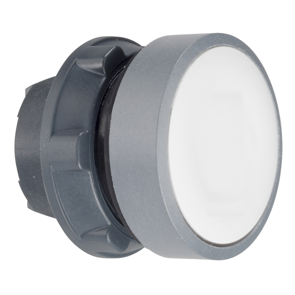 Mayer-DDS-Harmony XB5, Push button head, plastic, flush, white, 22mm, spring return, marked I, grey bezel-1