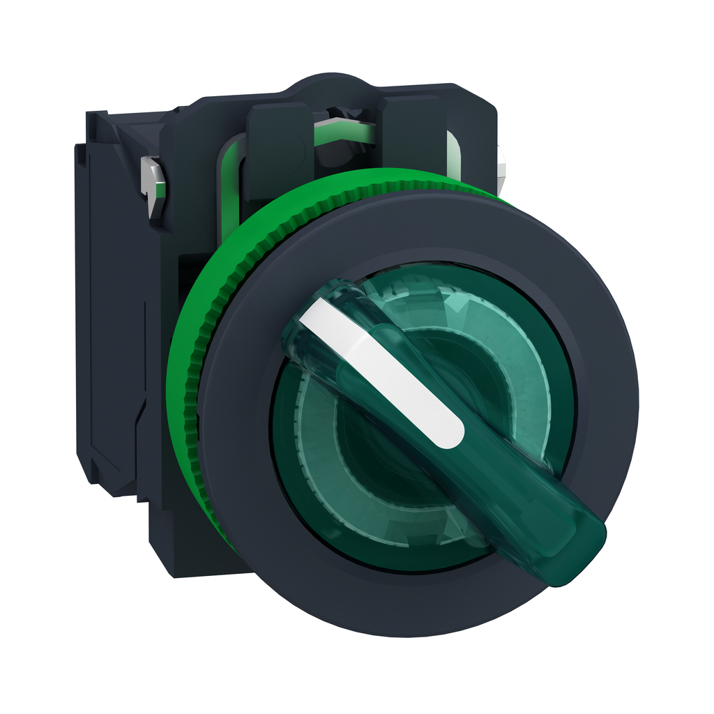 XB5FKCUST03 – FLUSH GR. ISS 2 POS STAY PUT 230 1NO 1NC