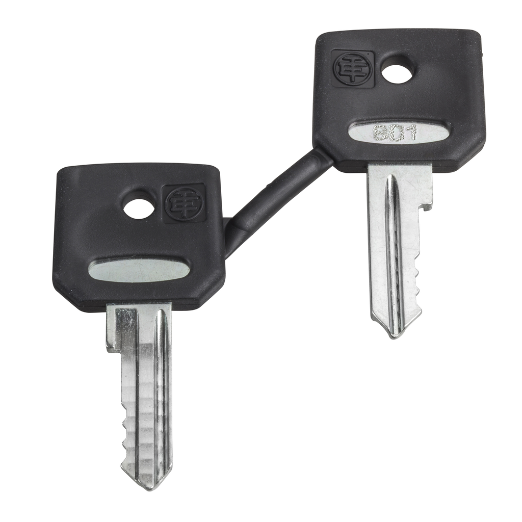 ZBD8D1 – Key, Harmony XB4, replacement accessory, for selector switch and emergency stop push button, Dom 8D1, set of 2 keys