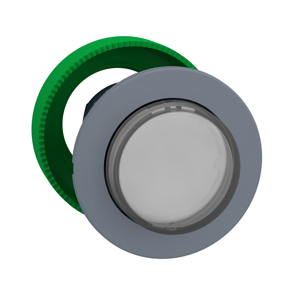 ZB5FWCUST02 – FLUSH WH PROJ ILL PB HEAD INTEGRAL LED
