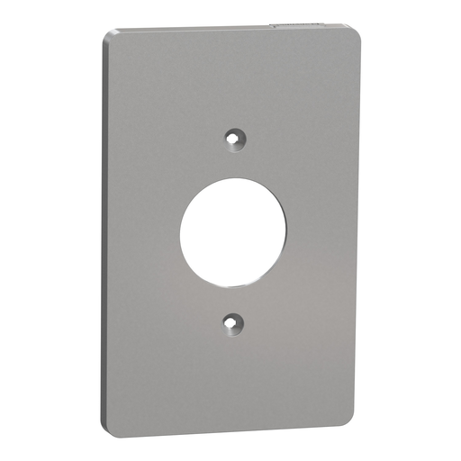 Product image for SQD SQWS422001GY Cover frame, X Ser