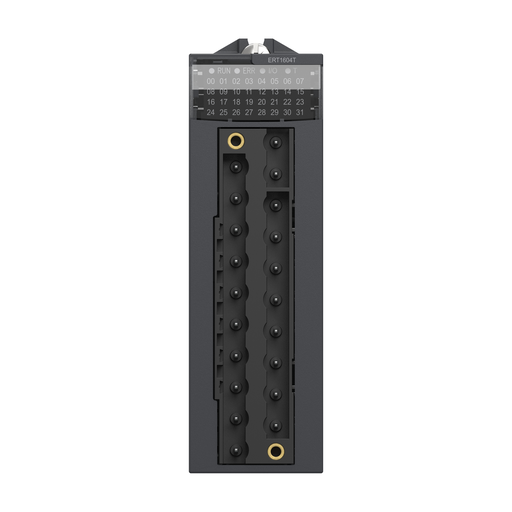 Mayer-DDS-multifunction input module, Modicon X80, 16 I, 24/24-125V DC-2