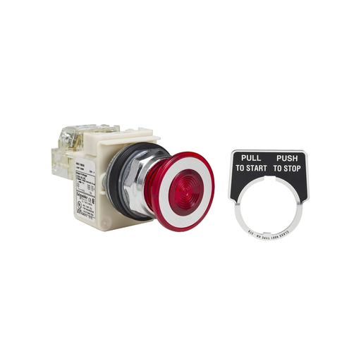 Product image for Square D 9001KR9P38RH13 30 mm 10 Amp 600 VAC Push Button