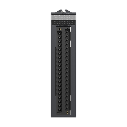 Mayer-DDS-Discrete input module, Modicon X80, 16 isolated inputs, 100 to 120V AC, for severe environments-2