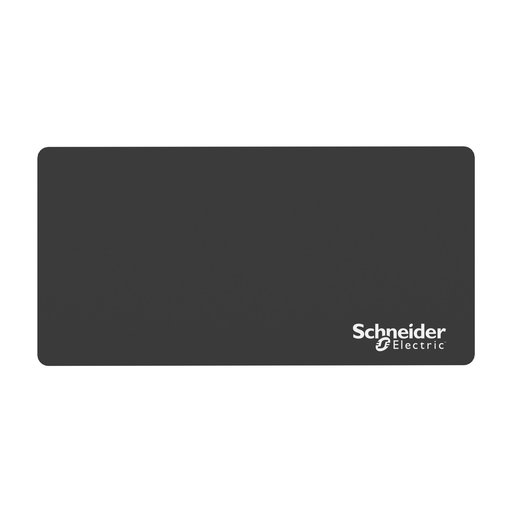 Mayer-DDS-Legend panel 200x100mm, Harmony XB5, unmarked-2