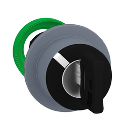 ZB5FG4C0 – flush mounted key switch selector head, Harmony XB5, plastic, black, 22mm, key 455, 2 positions, stay put, grey bezel