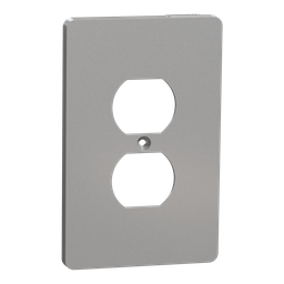 SQWS422011GY – Cover frame, X Series, for duplex socket-outlet, 1 gang, screw fixed, mid sized plus, gray, matte finish