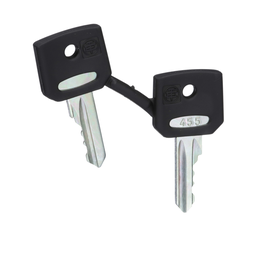 ZBG455 – Harmony, 22mm Push Button, replacemnet keys, set of two 455 keys
