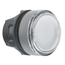 ZB5AACUST05 – PUSHBUTTON OPERATOR HEAD