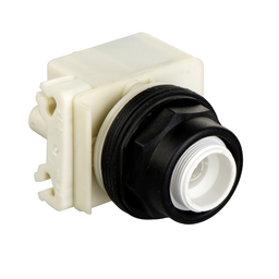 9001SK2L1 – 30mm push button, Type SK, illuminated momentary, no guard, 120VAC light module, no contacts, no lens cap, NEMA 4, 4X