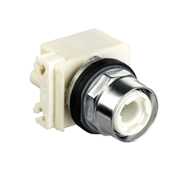 9001K11J1 – Illuminated selector switch head, Harmony 9001K, metal, without handle, 30mm, 2 positions, stay put, 110-120V